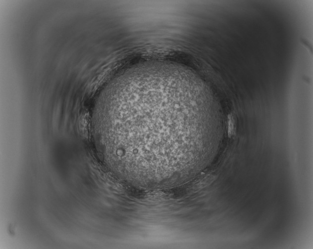 X0000103411059200809261638