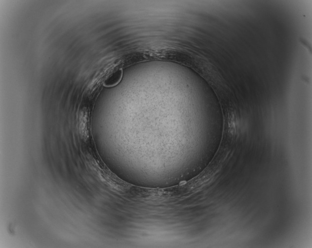 X0000103411060200809261638