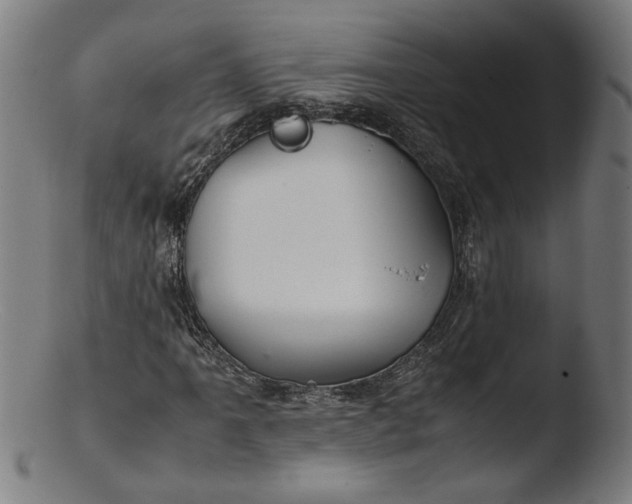 X0000103411061200809261638