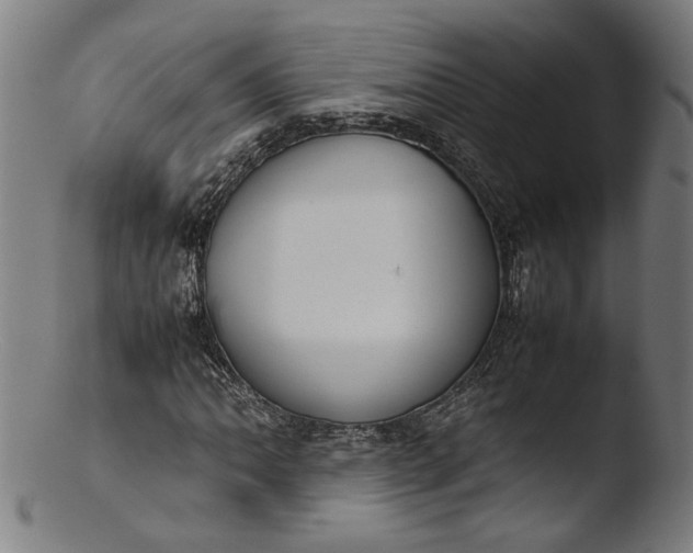 X0000103411062200809261638