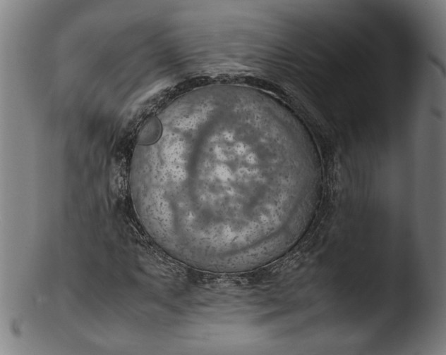 X0000103411063200809261638