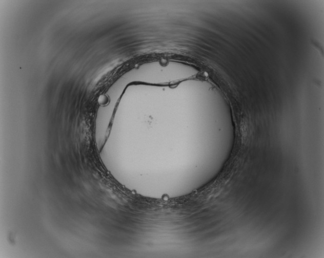 X0000103411064200809261638