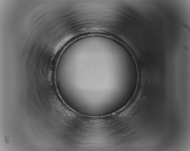 X0000103411066200809261638