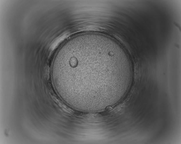 X0000103411067200809261638