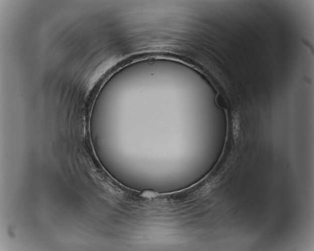 X0000103411069200809261638