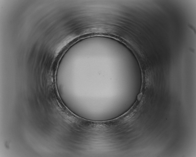 X0000103411070200809261638