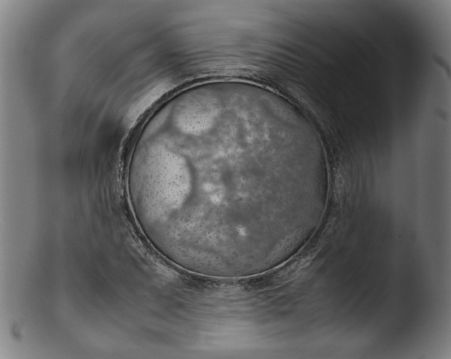 X0000103411071200809261638