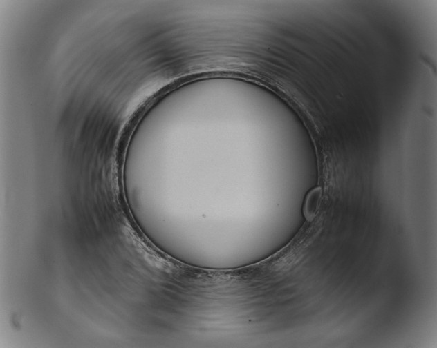 X0000103411072200809261638