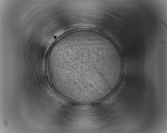 X0000103411074200809261638