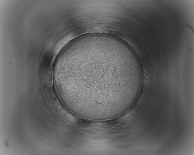 X0000103411075200809261638