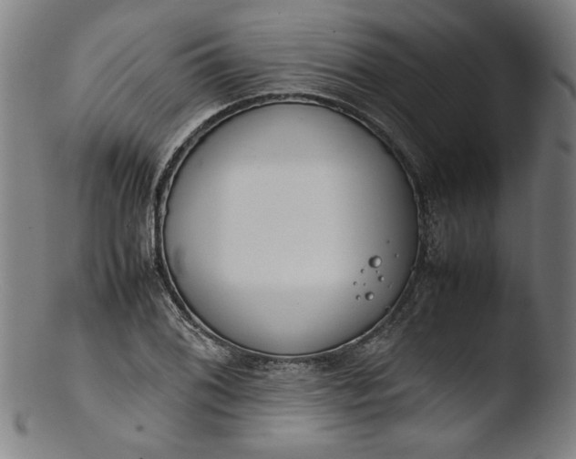 X0000103411076200809261638