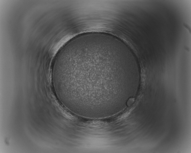 X0000103411077200809261638