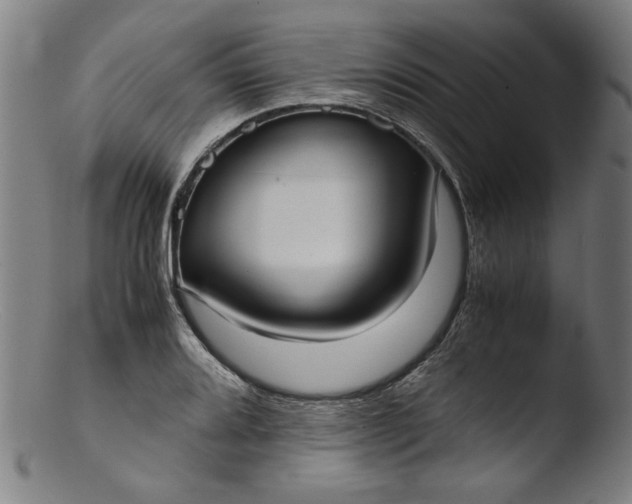 X0000103411080200809261638