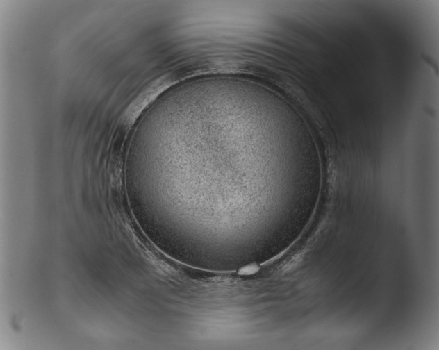 X0000103411081200809261638