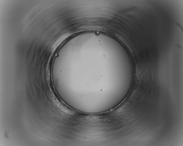 X0000103411082200809261638