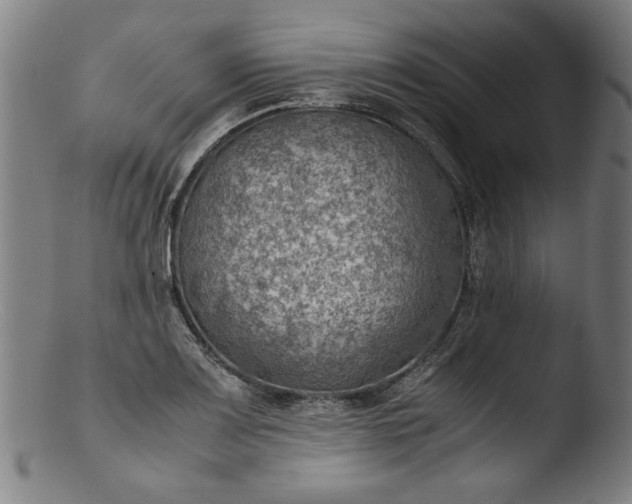 X0000103411083200809261638