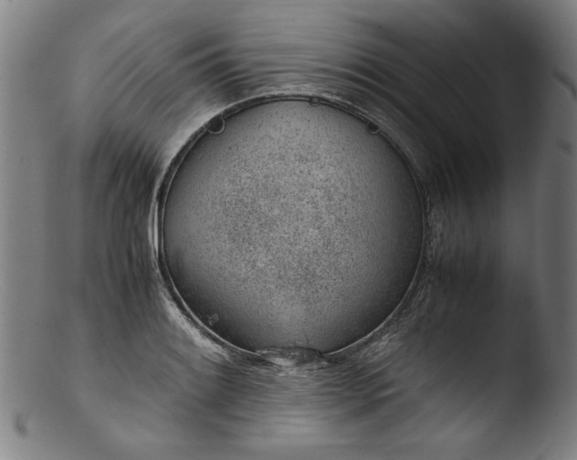 X0000103411084200809261638