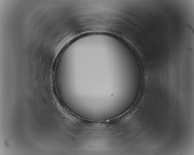 X0000103411085200809261638