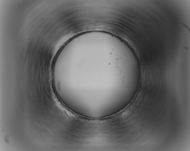 X0000103411088200809261638