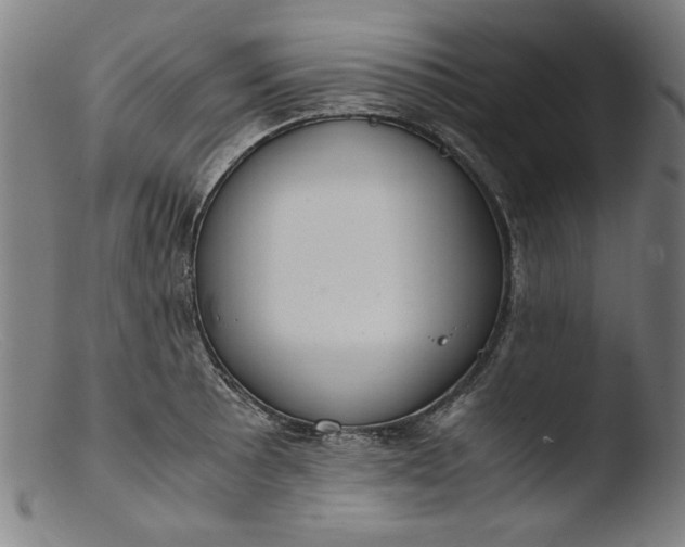 X0000103411089200809261638