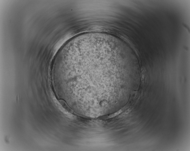 X0000103411091200809261638