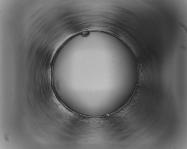 X0000103411092200809261638