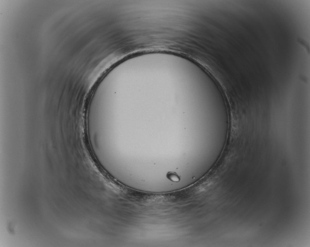 X0000103411093200809261638