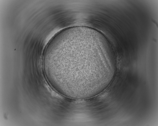 X0000103411094200809261638