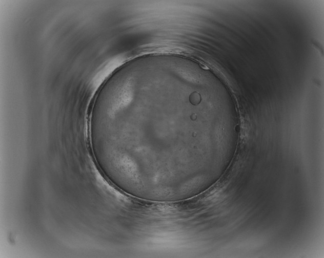 X0000103411095200809261638