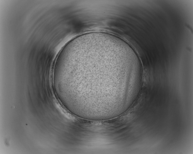 X0000103411098200809261638