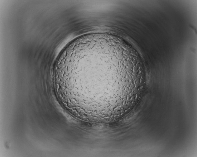 X0000103411099200809261638