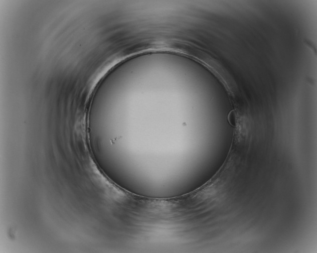 X0000103411100200809261638