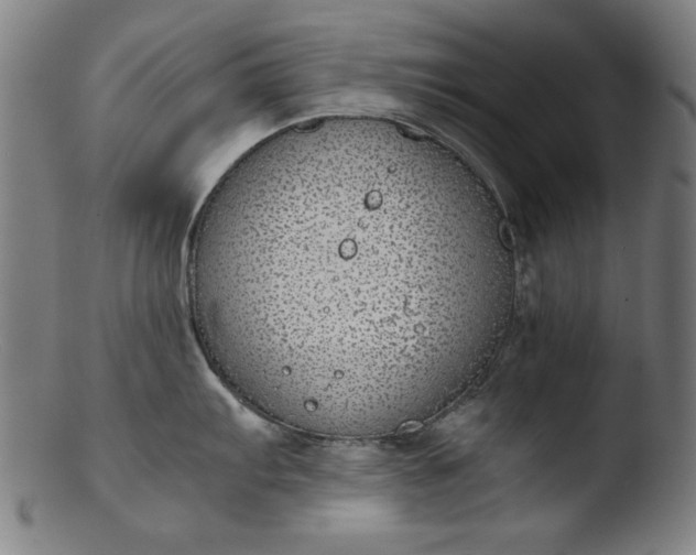 X0000103411103200809261638