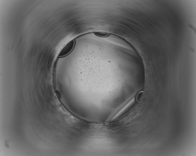 X0000103411104200809261638