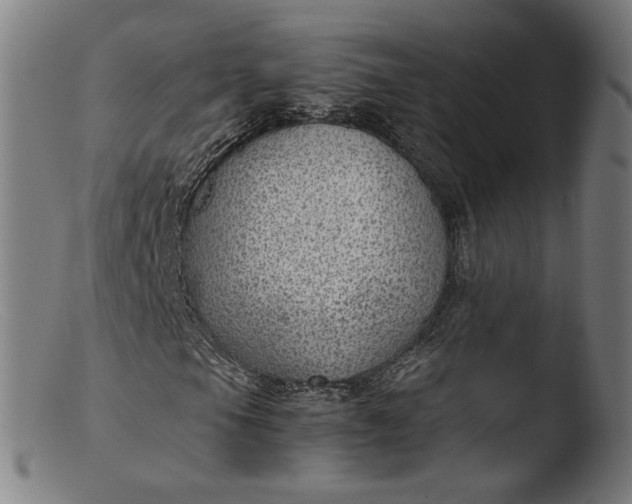 X0000103411105200809261637