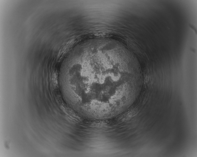 X0000103411106200809261637