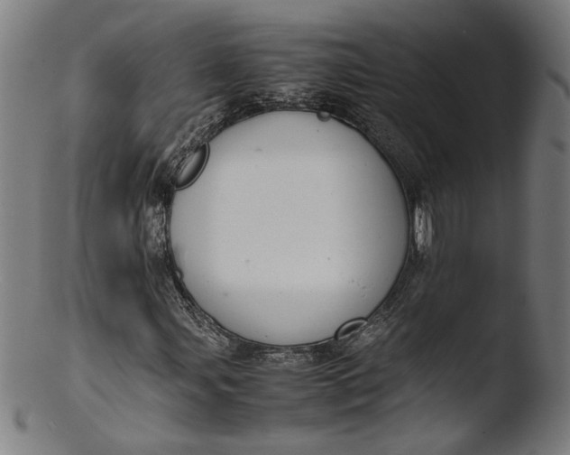 X0000103411107200809261637