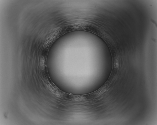 X0000103411108200809261637