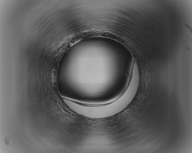 X0000103411110200809261637