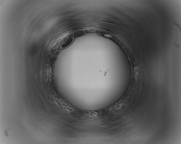 X0000103411111200809261637