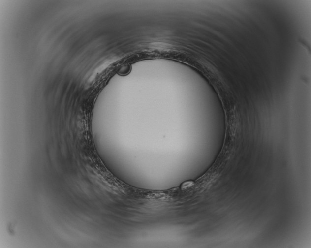 X0000103411112200809261637