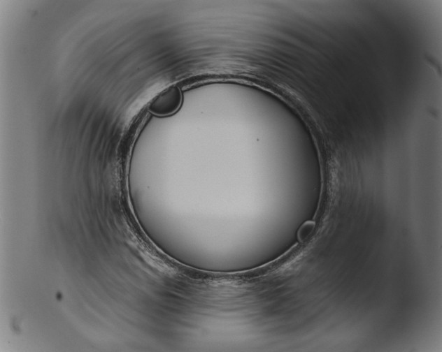 X0000103411114200809261637