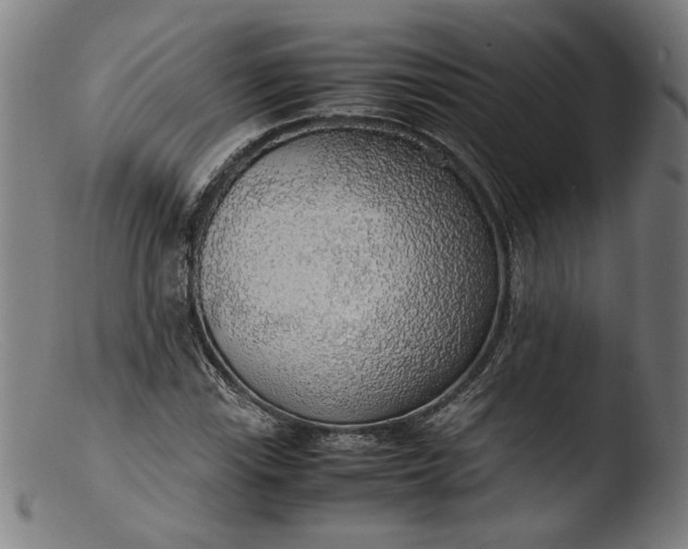 X0000103411115200809261637