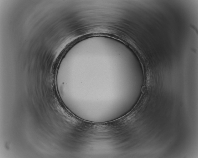 X0000103411116200809261637