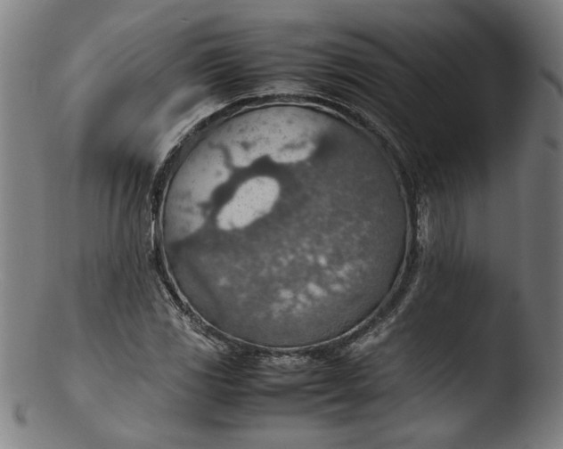 X0000103411117200809261637