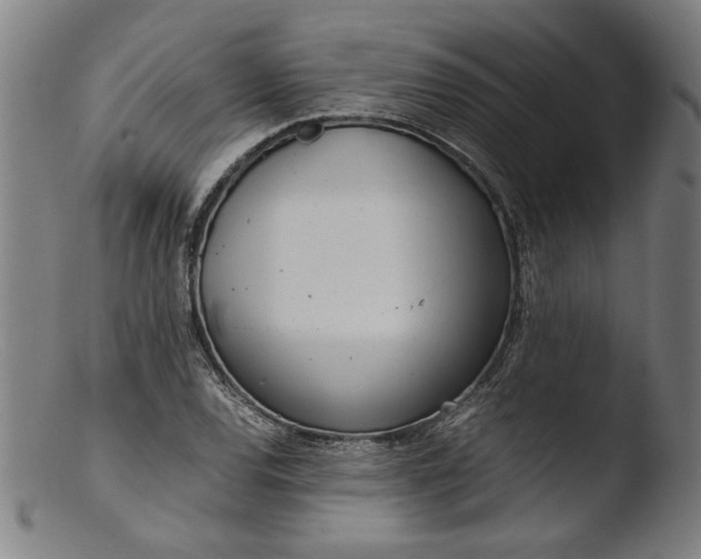 X0000103411120200809261637