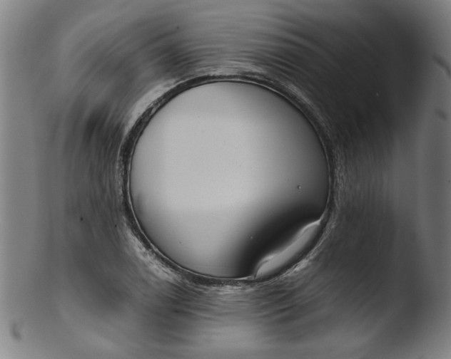 X0000103411122200809261637