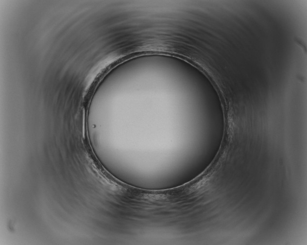 X0000103411123200809261637