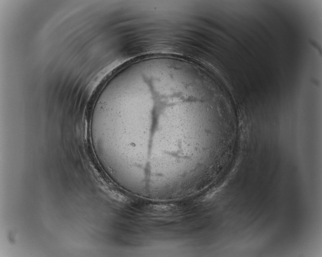 X0000103411125200809261637