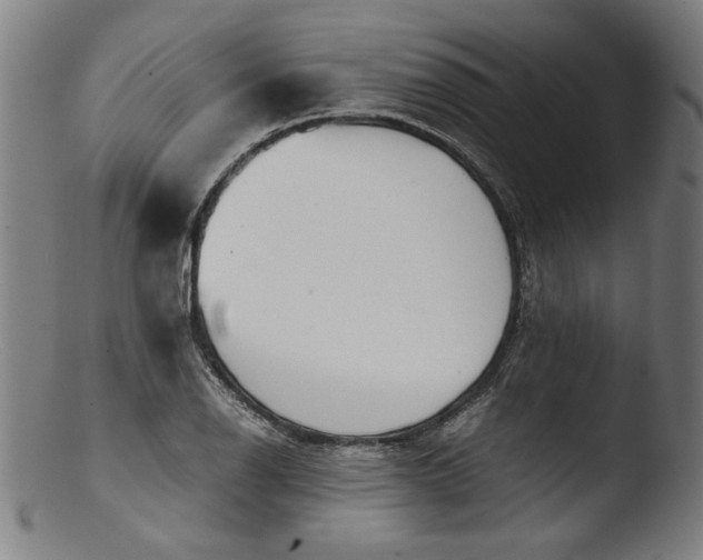 X0000103411126200809261637